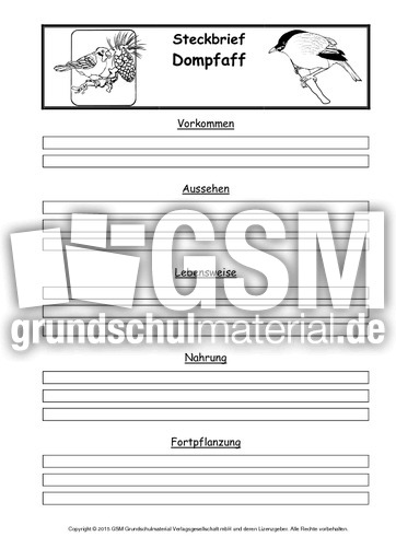 Steckbriefvorlage-Dompfaff.pdf